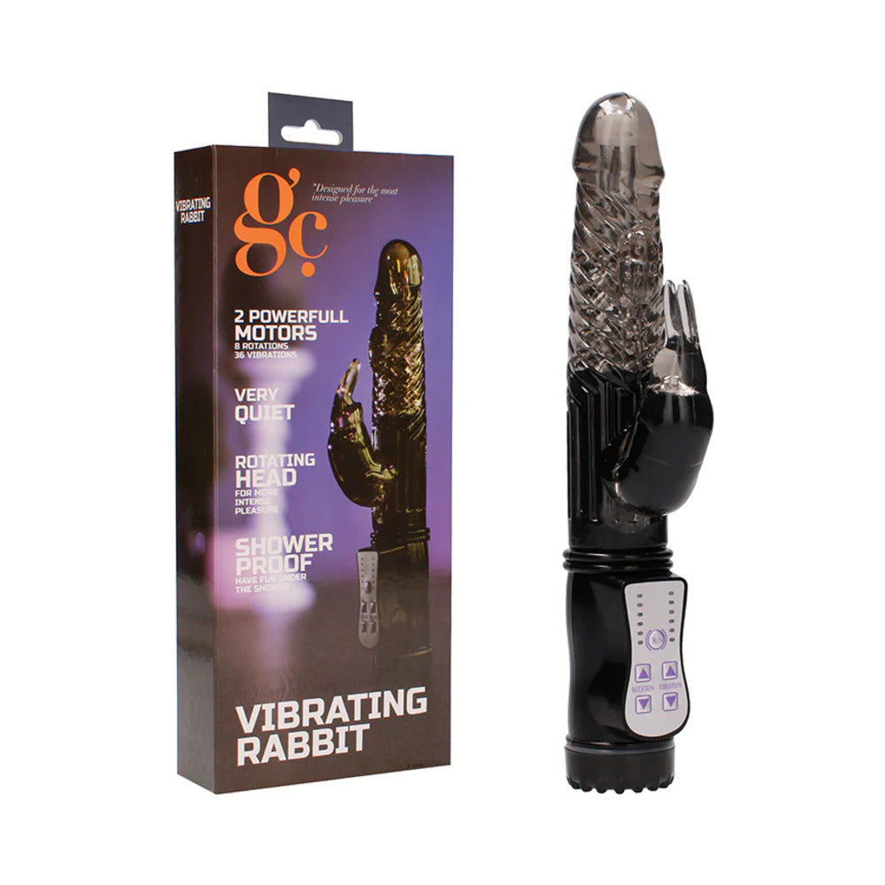 GC Vibrating Rabbit Dual-Motor Rotating Rabbit Vibrator Purple